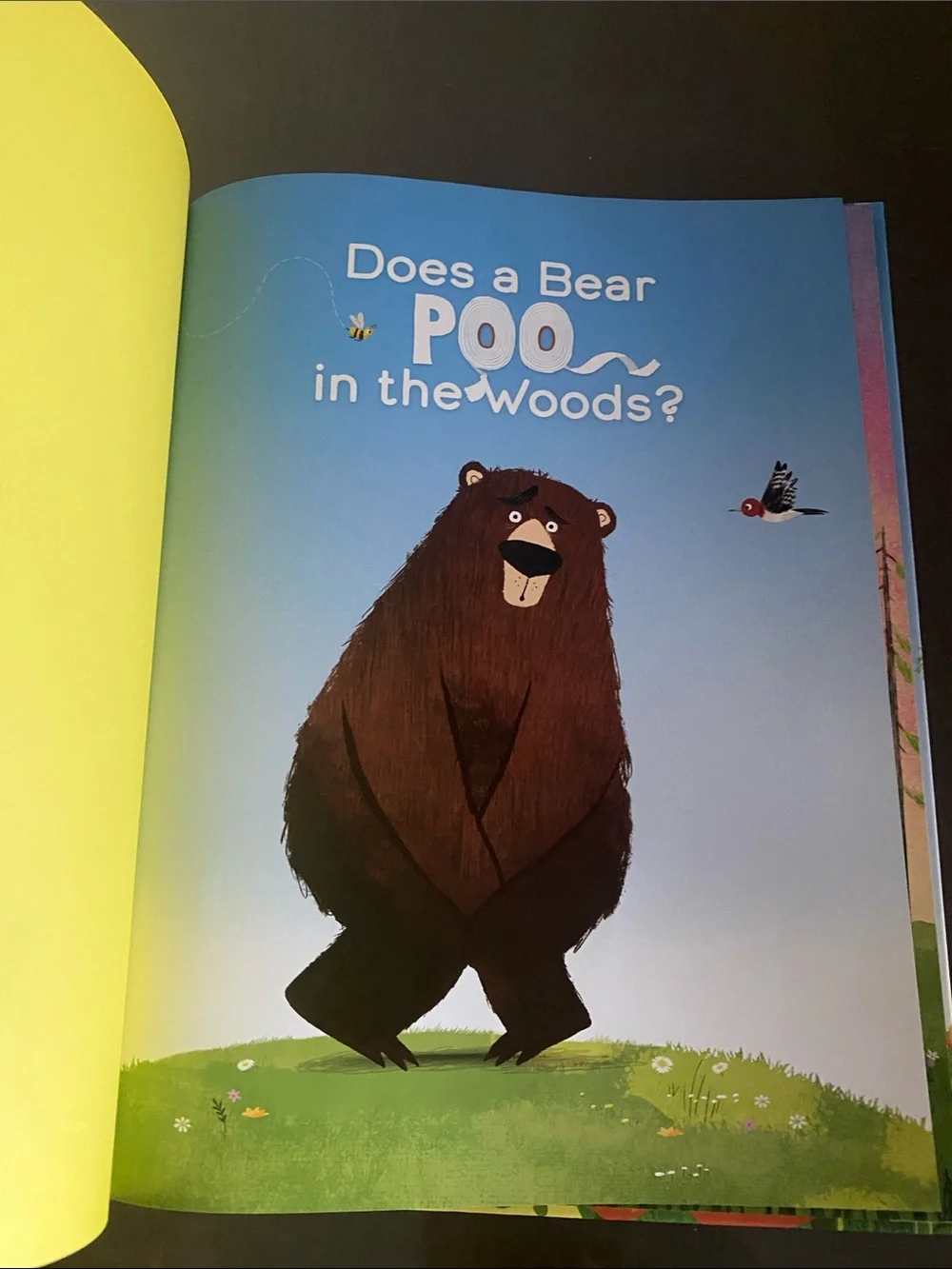 Does a Bear POO in the Woods? Kid Storybook wilderness - Picture 2 of 6